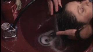 Wen By Chaz Dean Tea Tree Cleansing Conditioner