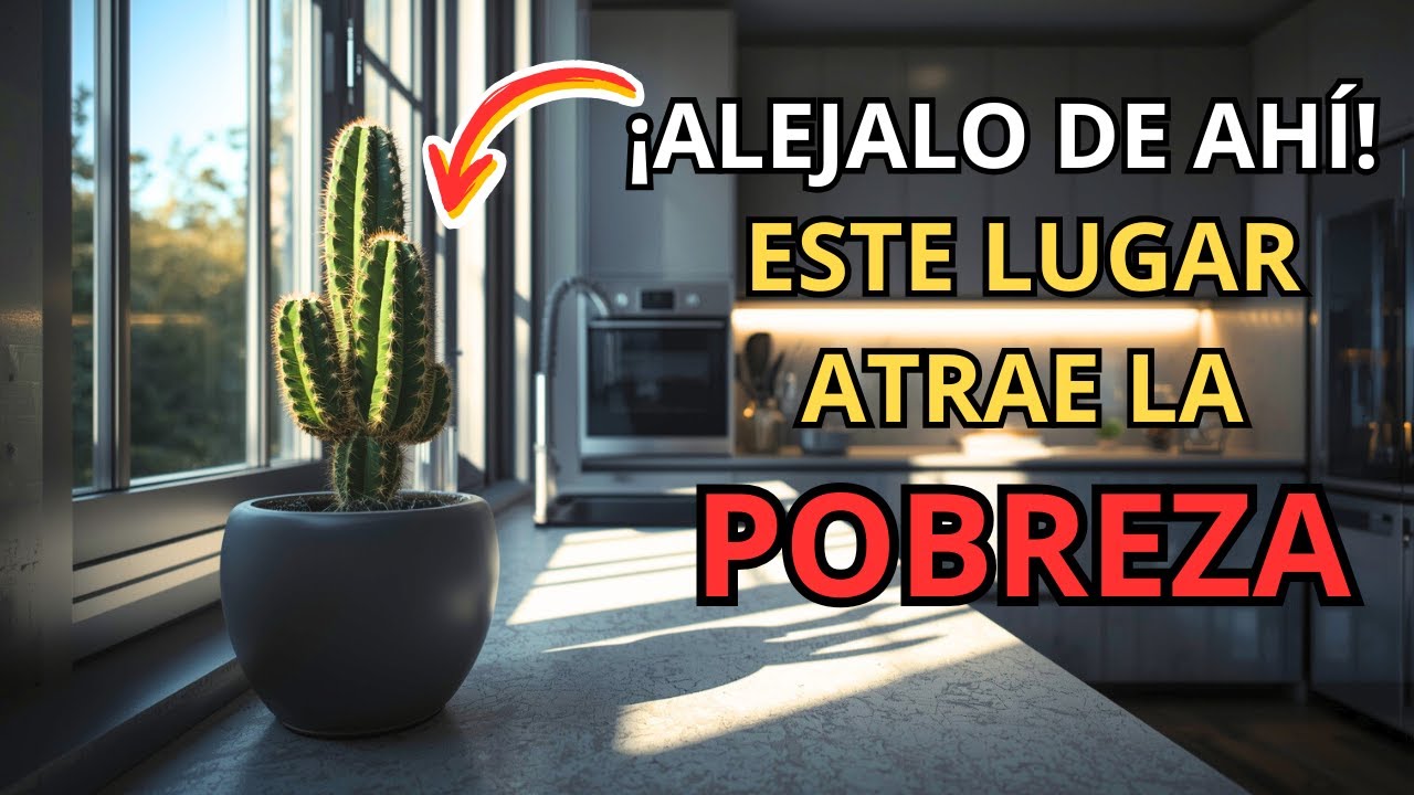 ⚠️ NO PONGAS Tu Cactus Aquí: Atraen POBREZA | 7 Lugares Prohibidos