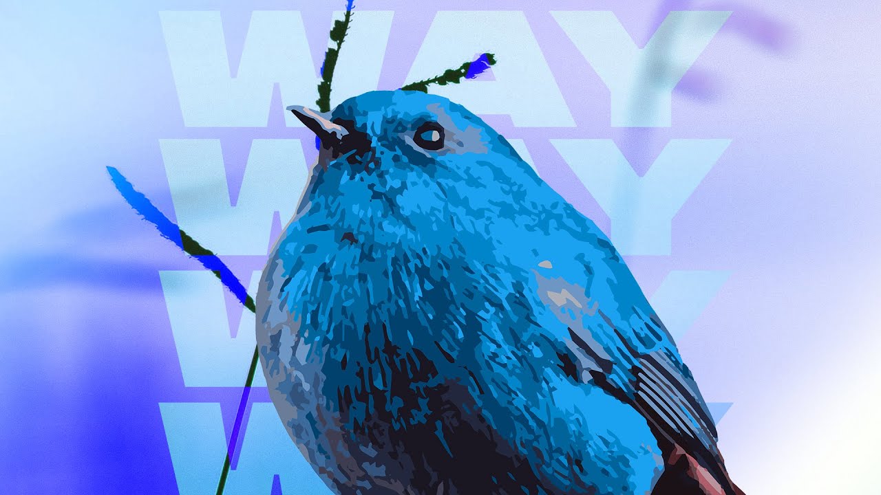 Guarda TVARI - Way | No Copyright Tropical House Music su YouTube Guarda TVARI - Way | No Copyright Tropical House Music su YouTube