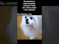 eu cantando muito bem #memes #cachorro