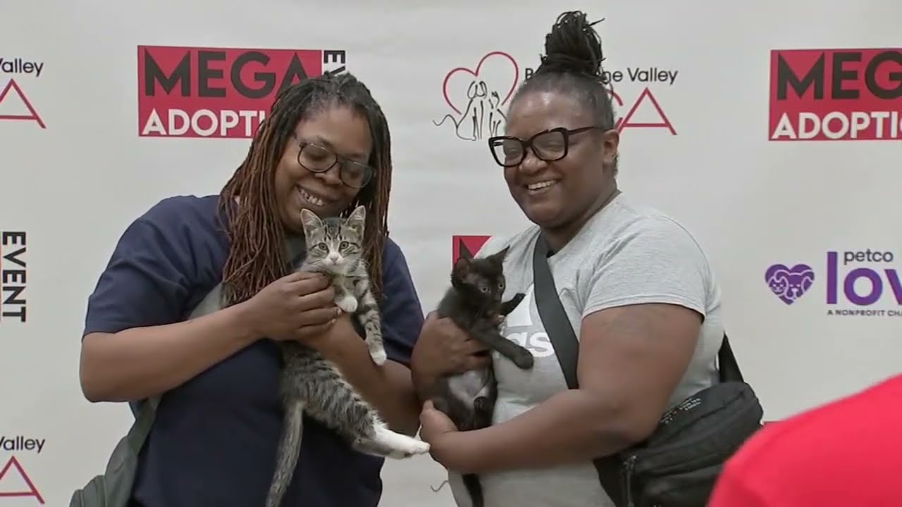 Mega Adoption Event in Montgomery County finds pets their forever homes