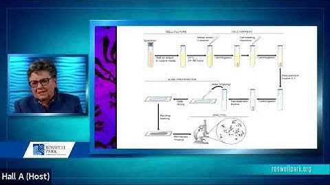 Automation in Cytogenetics, Dr  Anne Marie W  Block, Director Clinical Cytogenetics Laboratory,US