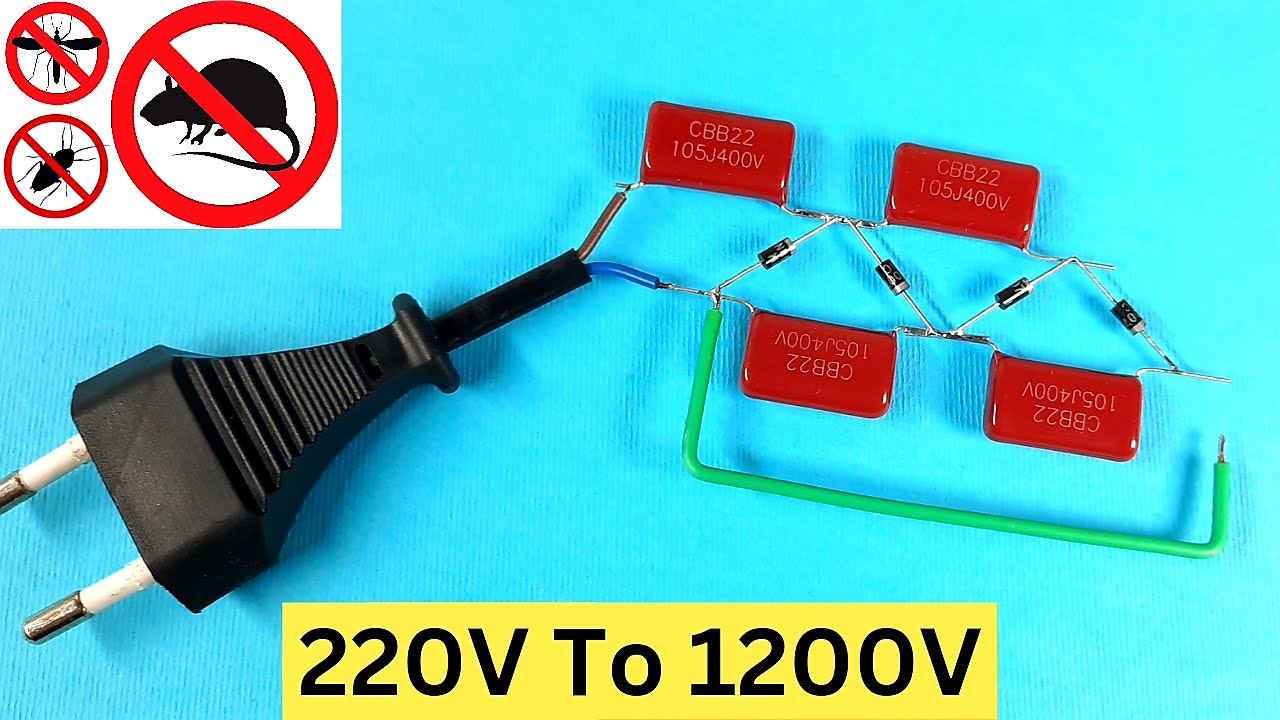 Electric Mouse Trap / High voltage fly zapper DIY voltage multiplier