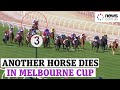 Melbourne Cup 2020: Anthony Van Dyck Dies 🏇