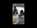 Youtube Thumbnail title