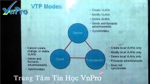VnPro   Bài Giảng VLAN Trunking Protocol Part 1) avi   YouTube