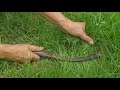60 Year Old Man Handmade Making Sickle in pakistan Local Market || How To Manufacturing Sickle