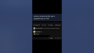 Spaghetti due at 11 #programmerhumor #shorts #short