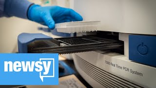 White House is Encouraging Pooled Testing But Will it Work?