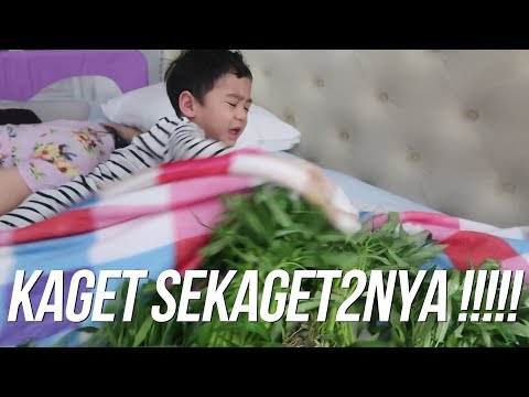 PRANK RAFATHAR BANGUN DIKELILINGI SAYUR !!!!!!!