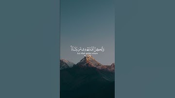 لكن الله يهدي من يشاء #تلاوة_القرآن #راحة_نفسية #تلاوة_خاشعه #FYP #foryou