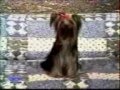 Varios Videos 3gp Varios Videos 3gp
