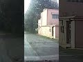 أجمل الحقول ضواحي المعازيز