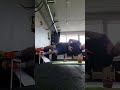 Copenhagen plank raises