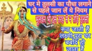 tulasi puja| Pooja vidhi , पूजा करने से पहले जान ले यह बात वर्ना घर हो जाएगा बर्बाद,#Pujavidhi