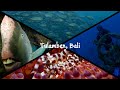 Tulamben, Bali, Indonesia 印尼, 峇里島, 土蘭奔 - Scuba Diving, Panasonic LX100