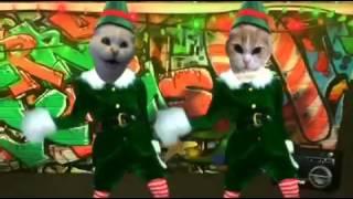 elf yourself cats!