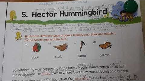 Hector Hummingbird Part 1