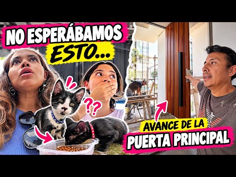 We went to get the "abandoned" kittens and THIS HAPPENED! | This is how the front door of the hou...