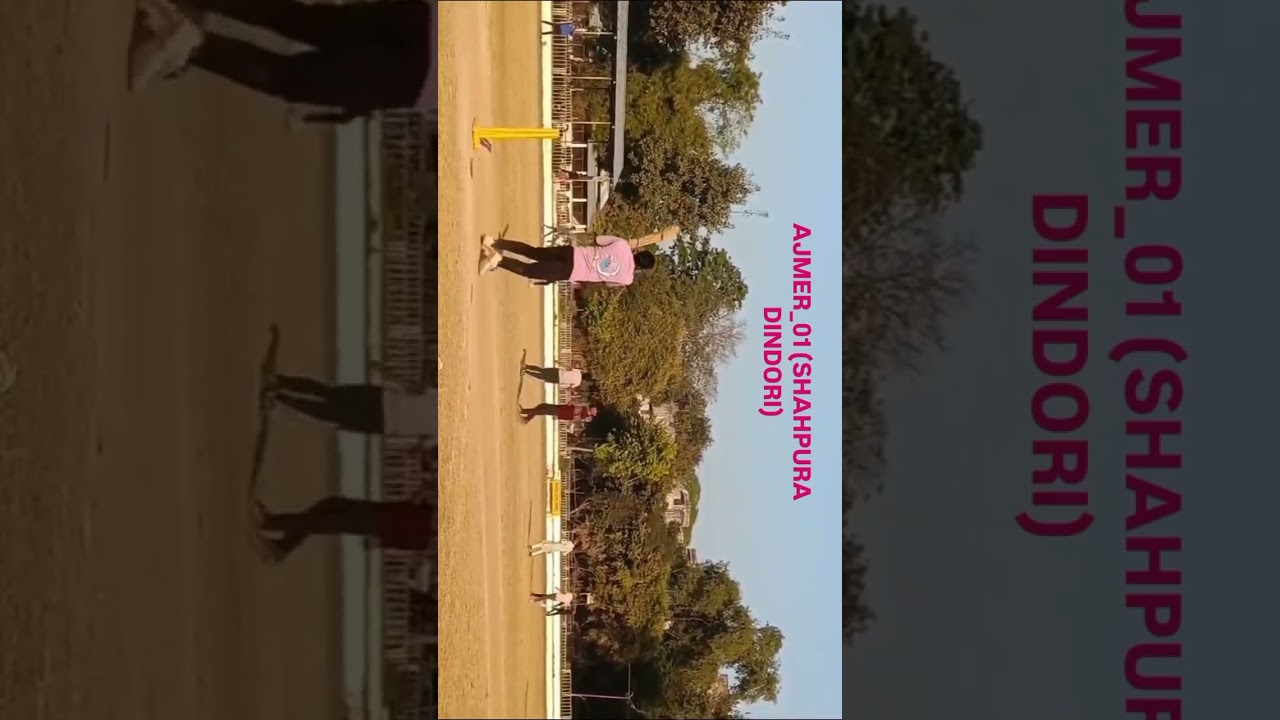 tennis star player 🩷🏏 