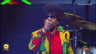 MYKAL ROSE - Rebel Salute 2019
