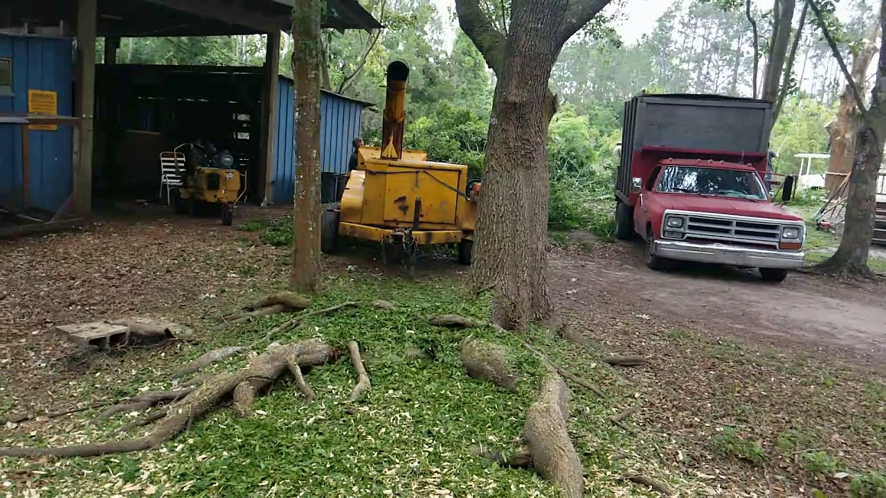 1974 wayne wood chipper slo mo