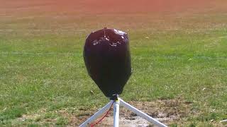 Eggonaut project