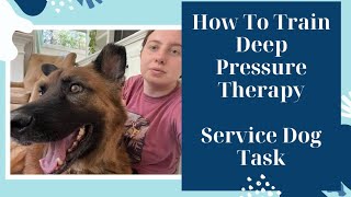 How To Train Your Dog Deep Pressure Therapy (Service Dog Task)