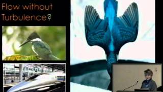 Janine Benyus, "Borrowing Nature's Blueprints: Biomimicry and The Art of Well-Adapted Design"