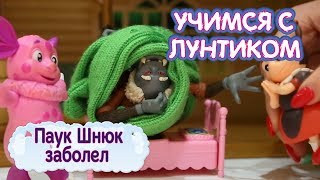 Паук Шнюк 🕸 заболел 🤒 Учимся с Лунтиком 💥 Обучающее видео для детей