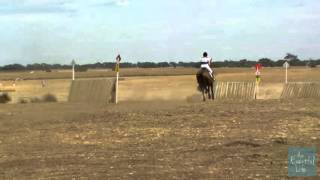 Mia Craig riding NERREMAN TATIANA 88 Pre Novice B Geelong Horse Trials 2013