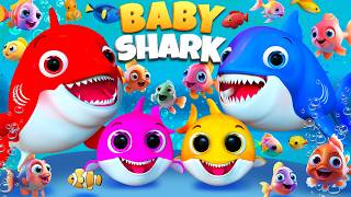 Baby Shark Mixing Colors Song & Bingo Dog Star ⭐🦈🎨 | #Kids #singalongfun #childrens