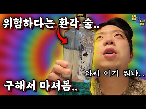 환각이 보인다는 불법 술 '압생트' 먹어봤습니다