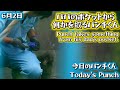 6.2 パパのポケットから何かを取るパンチくんPunch takes something from his dad's pocket.今日のパンチくんToday's Punch 市川市動植物園