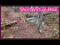 Walking though the woods - A brief virtual hike