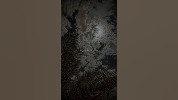 سورة: هود الايه رقم (٤٧_٤٨)|القارئ: خالد الجليل 🤍