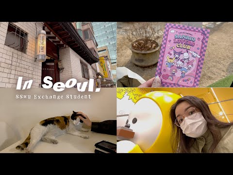 ［𝙄𝙣 𝙨𝙚𝙤𝙪𝙡.]  三月初☕️ |  普門站咖啡廳擼貓🐈 |  Sanrio Lovers Club  | 誠信女大交換生｜March VLOG | @real_sofie6274