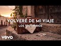 Los Temerarios - Volveré De Mi Viaje (Visualizer)