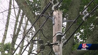 Eversource spending $41M removing hazardous trees, branches
