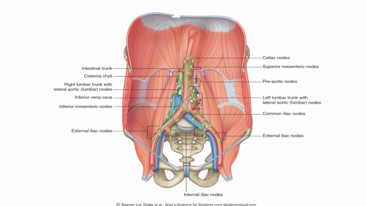 цистерна хили