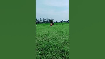 Round Off Backflip Step By Step | Flip Stunt Kaise Sikhe | Backflip Tutorial | Easy Backflip #shorts