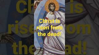 Christ is risen from the dead trampling down death by death & upon those in the tombs bestowing life