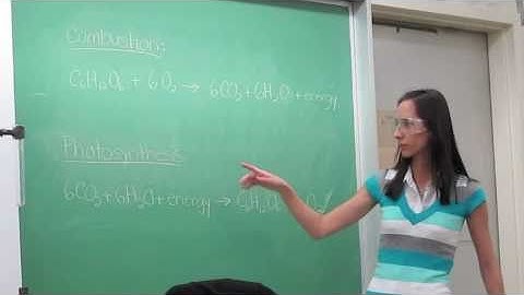 GummyBearCombustion.m4v