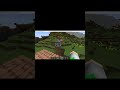 minecraft Villager moment