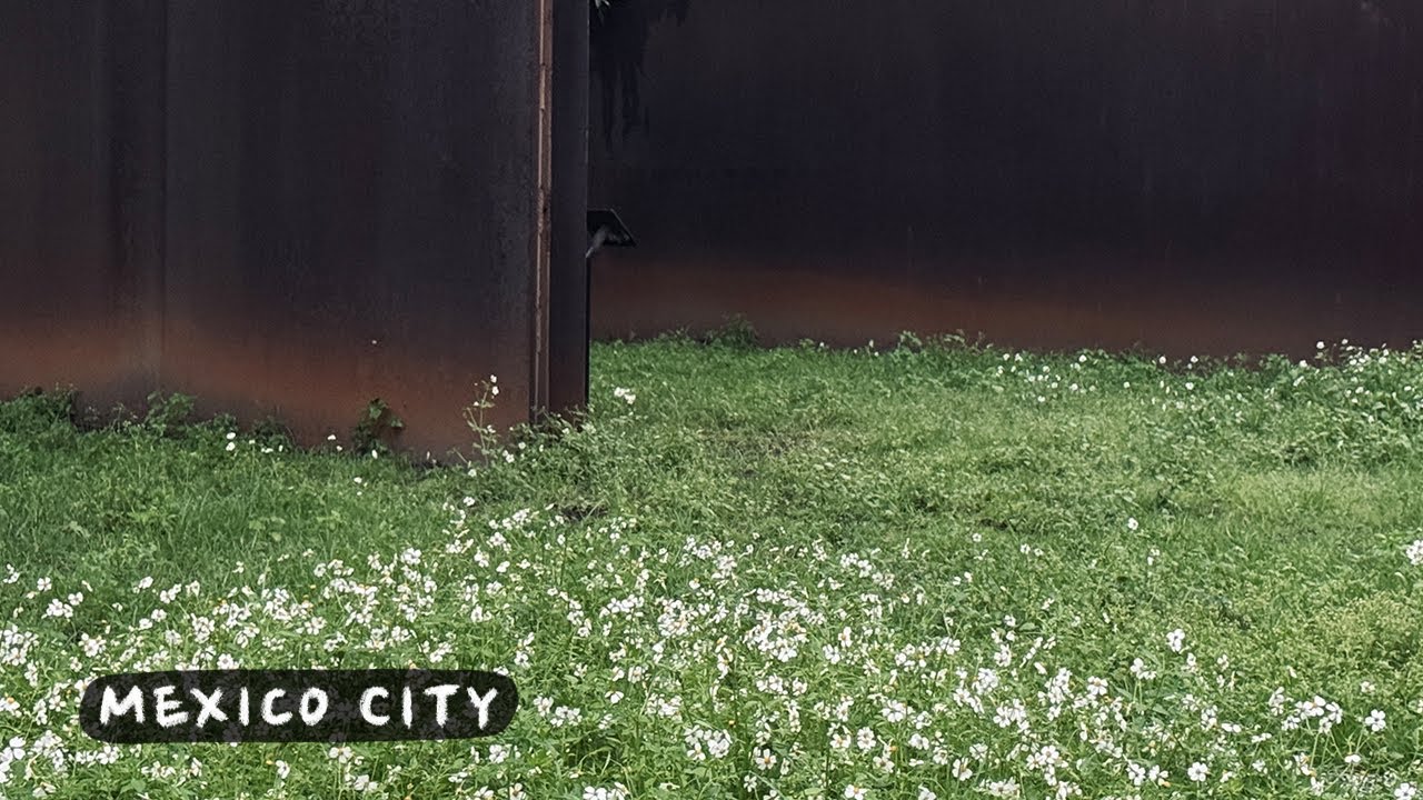 바위의 변모, 멕시코 시티