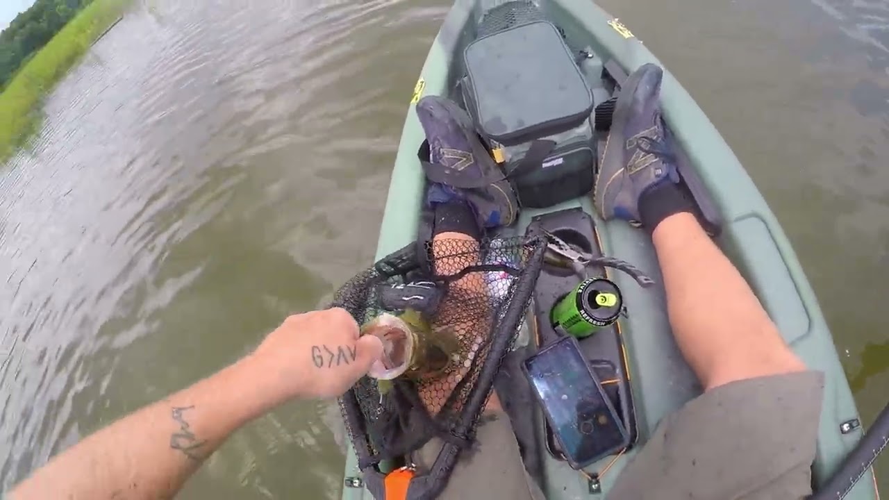 Do You Remember Your First Fish? 🐟