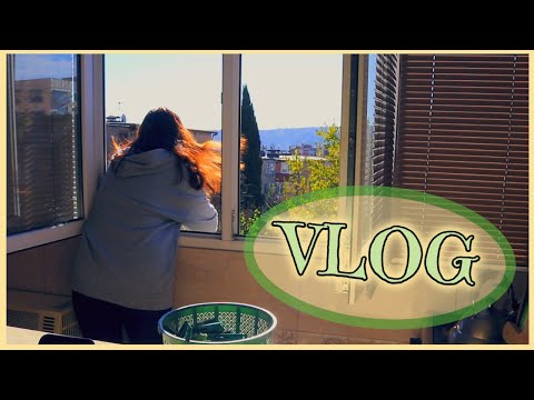 ❄️VLOG: სახლის რუტინული  საქმეები ( საუზმე,სარეცხი,საწოლის გასწორება)