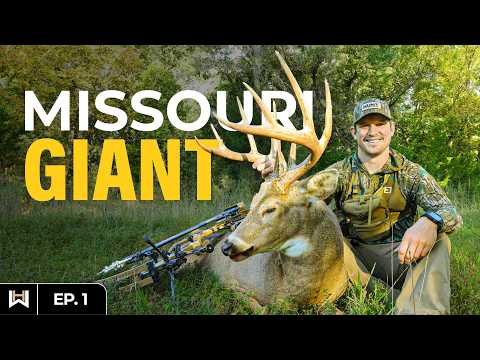 Missouri Giant! Self-Filming a Mature 10-Point on an Early Season Food Plot