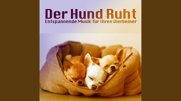 The World as Commonly Experienced