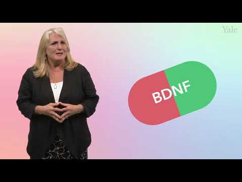 5.1 What Is the Basic Neurobiology of Recovery? – Addiction Treatment Course Episode cover